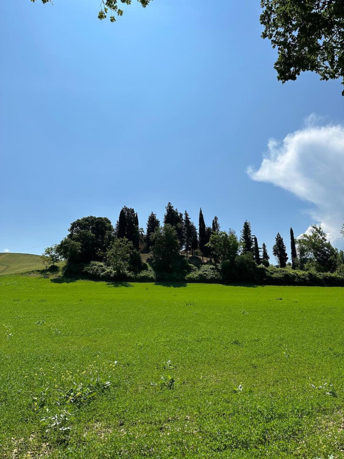 Villa Il Giardinello مونتالشينو المظهر الخارجي الصورة