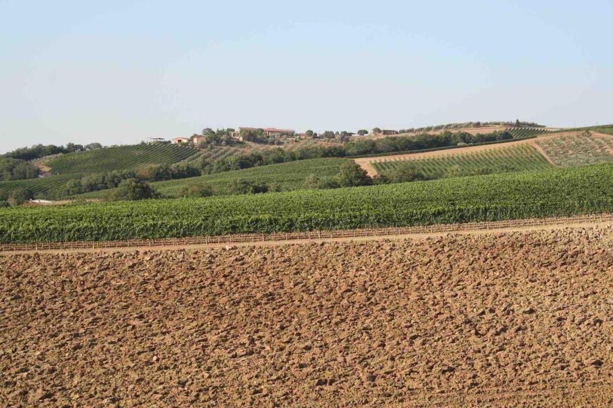 Villa Il Giardinello مونتالشينو المظهر الخارجي الصورة