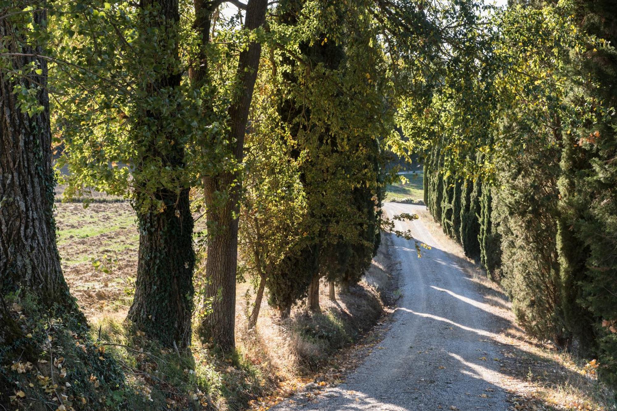 Villa Il Giardinello مونتالشينو المظهر الخارجي الصورة